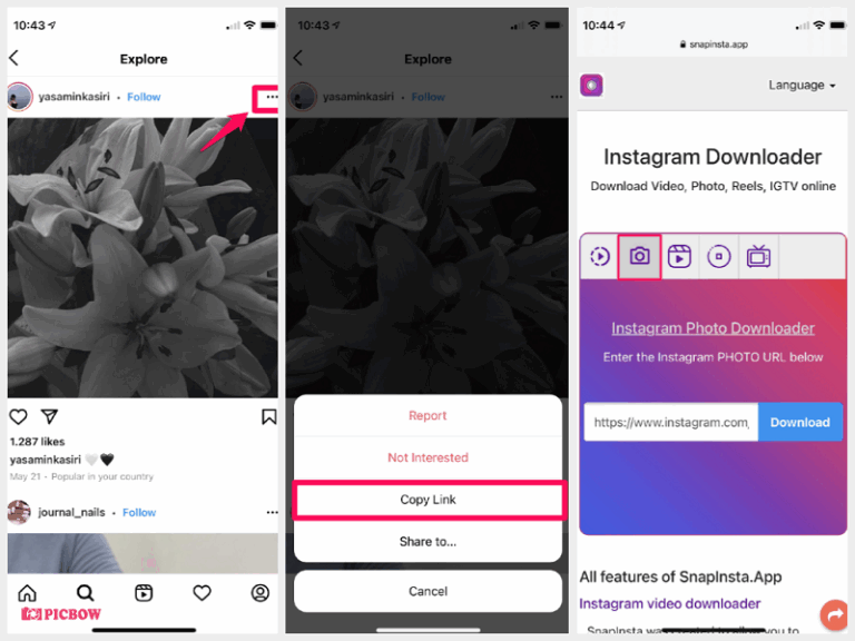 What is SnapInsta? A Simple Tool for Downloading Instagram Content
