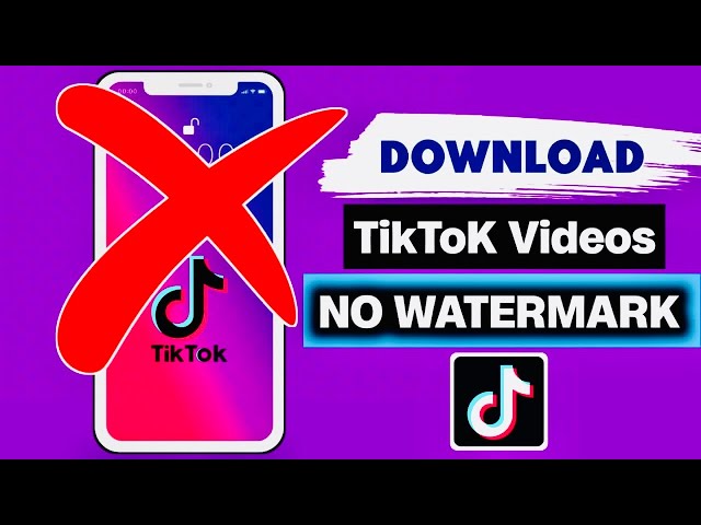 Remove TikTok Watermark Instantly with SSS TikTok – Here’s How